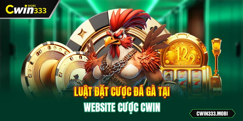 Luật đặt cược Đá gà tại website cược Cwin