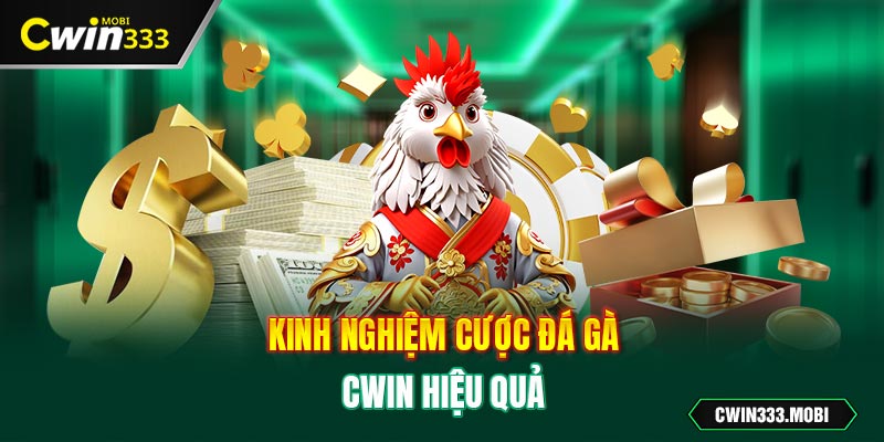 Kinh nghiệm cược Đá gà Cwin hiệu quả